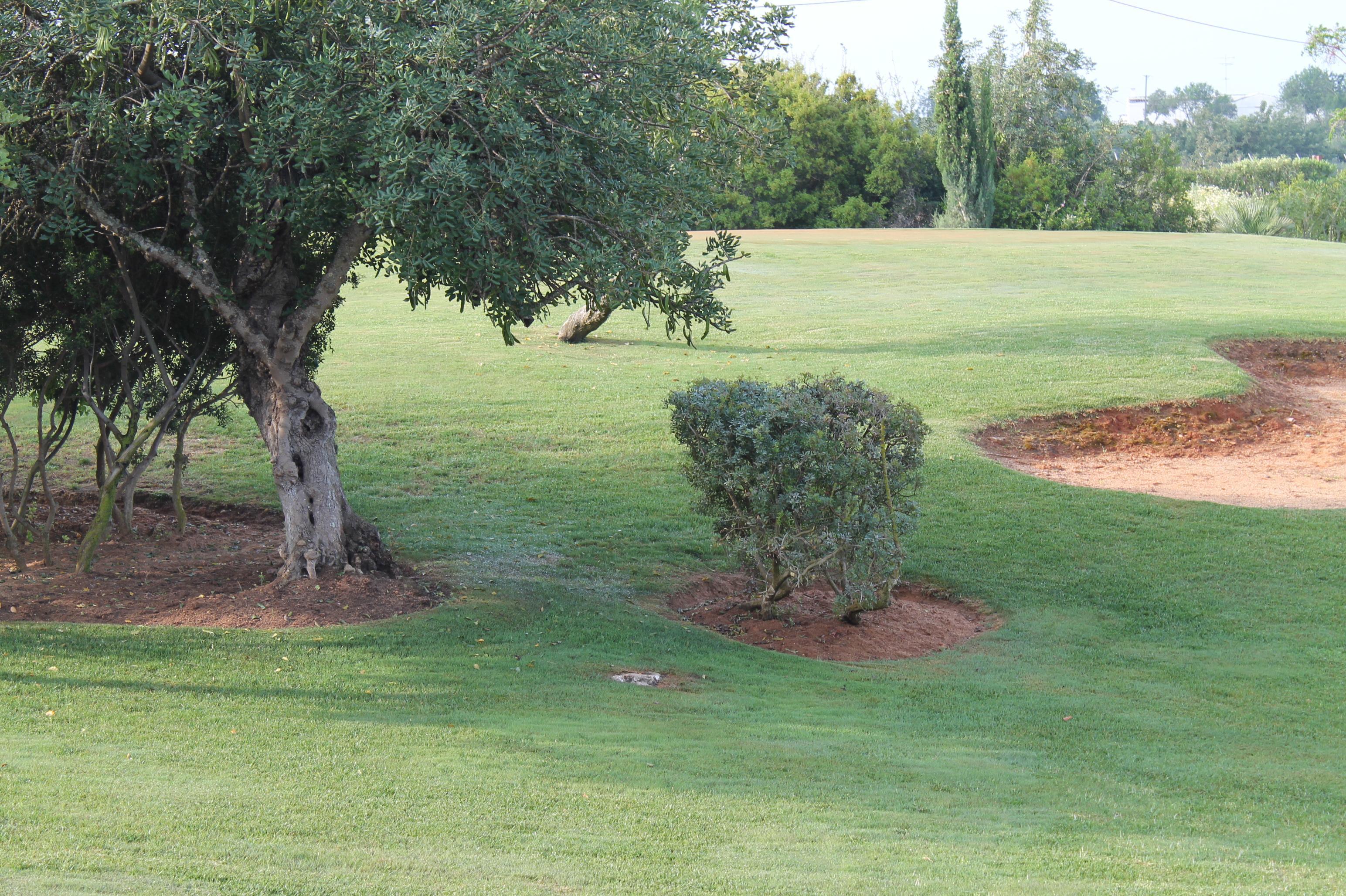 Quinta Dos Poetas Nature Hotel & Apartments Pechão Εξωτερικό φωτογραφία
